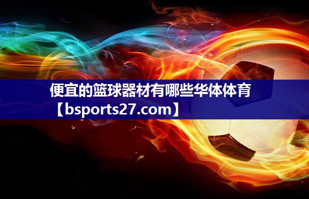 便宜的篮球器材有哪些华体体育