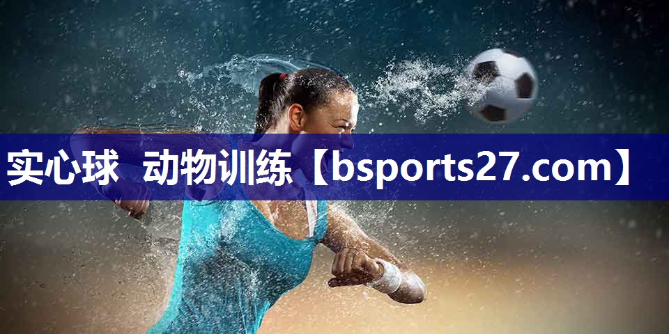 实心球 动物训练 实心球 动物训练