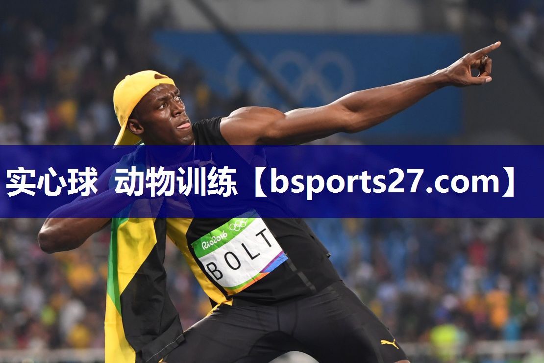实心球 动物训练 实心球 动物训练